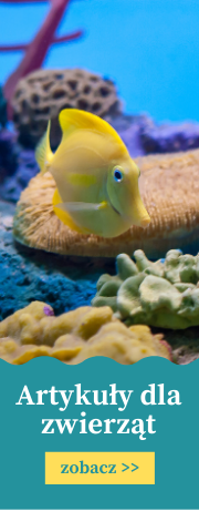 Aartykuły dla zwierząt